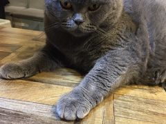 -小时光咖啡馆(开森度假森林店)