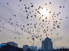 -大连人民广场