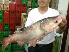 android_upload_pic-李四哥太安鱼食府