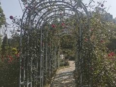 -东莞植物园