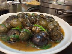 -南海鸽天下(肇庆店)