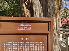 -北京市劳动人民文化宫(太庙)