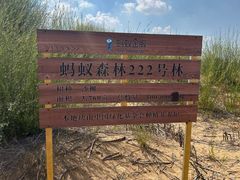 -银肯塔拉沙漠生态旅游景区