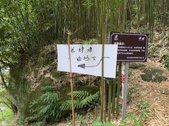 -井空里大峡谷
