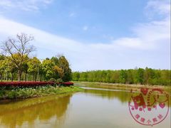 -上海海湾国家森林公园