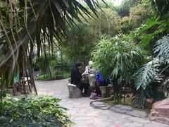 -大连森林动物园