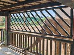 -鄂尔多斯野生动物园