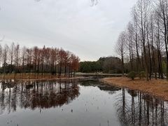 -长广溪湿地公园