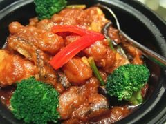 三文鱼头煲-骏莱海鲜鱼港(五角场店)