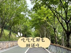 -飞凤山奥体公园