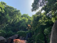 -岳麓山风景名胜区