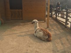 -北京市海淀外国语实验学校