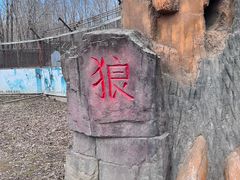 -哈尔滨北方森林动物园