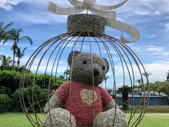 -三亚亚龙湾天域度假酒店