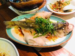-大榕树下顺德菜(融创茂店)