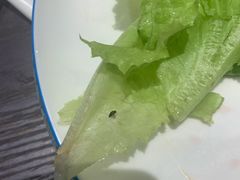 -东来顺铜锅炭火涮肉(上地华联店)