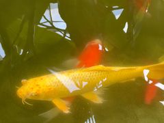 -南通洲际绿博园