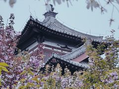 -西安青龙寺遗址景区