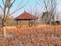 -上海山野camping·户外天幕烧烤·团建拓展营地