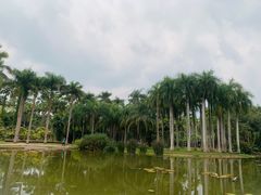 -中国科学院西双版纳热带植物园