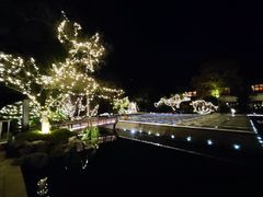 -杭州西子湖四季酒店-WL BISTRO西湖餐厅(灵隐路店)