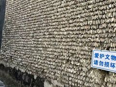 -小洲村