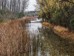 -昆山城市生态森林公园