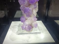 -中国地质大学逸夫博物馆