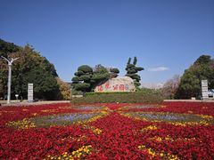 -洛龙公园