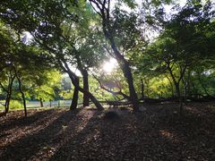 -共青国家森林公园-售票处