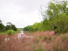 -柳鹭田园区