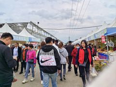 -夏河溪乡野公园