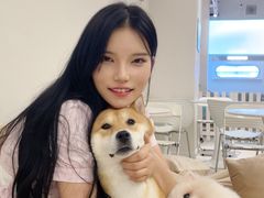 -怪兽屋·羊驼·猫咖·狗咖(俊华广场店)