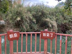 -靖西鹅泉风景区
