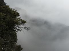 -霍顿平原国家公园