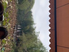 -西院1号(龙井店)