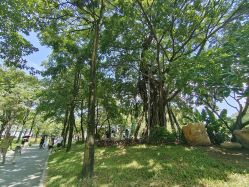-广州市儿童公园