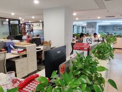 -广东泽正律师事务所