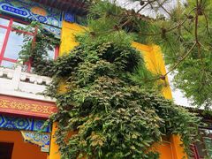 -挂甲禅寺