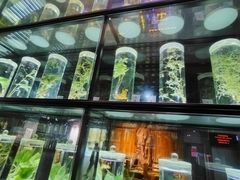 -广东中医药博物馆