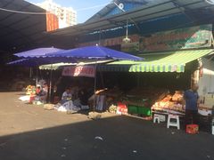 -城南综合水果批发市场(花园路店)