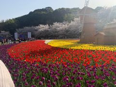 -苏州上方山国家森林公园