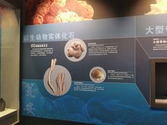 -贵州省地质博物馆