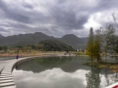 -小芝红树林