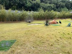 -深圳野生动物园