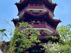 -云龙湖旅游景区