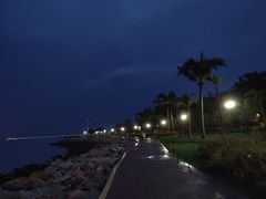 -野狸岛