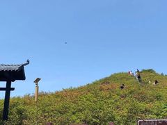 -大围山国家森林公园