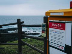 -涉地可支