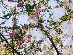 -永乐路-路侧停车场